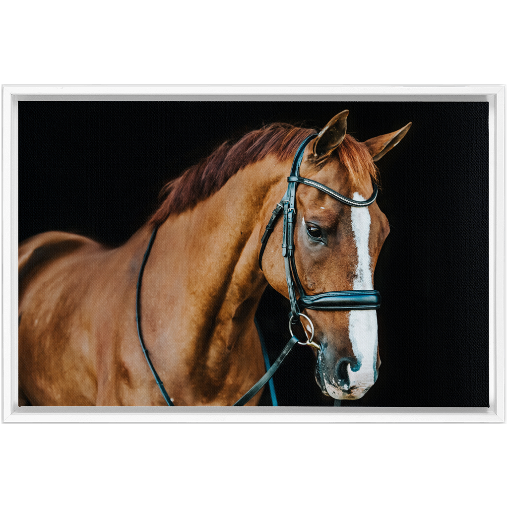 Hudson Series 1, Framed Canvas