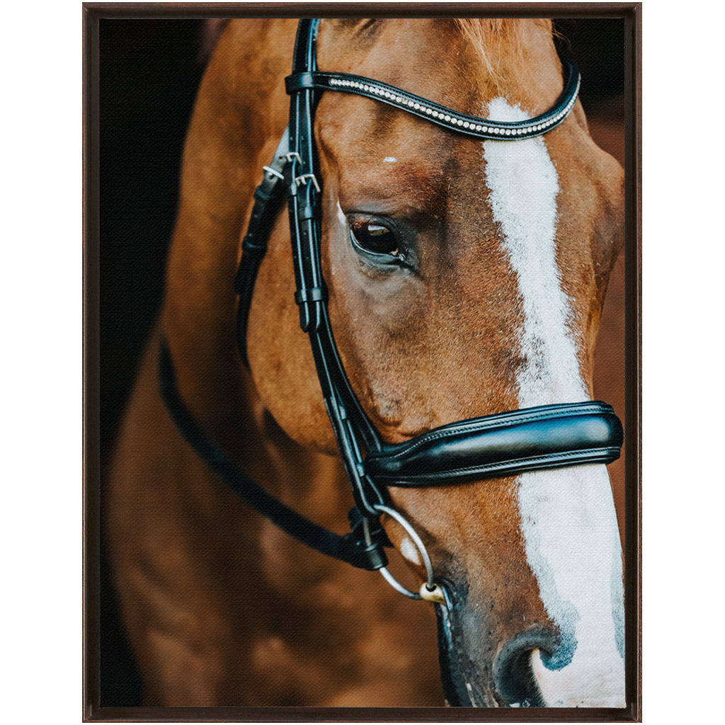 Hudson Series 3, Framed Canvas