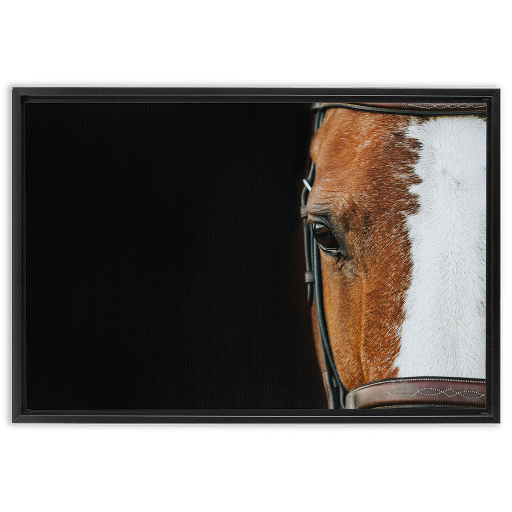 Huntsman Series 5, Framed Canvas
