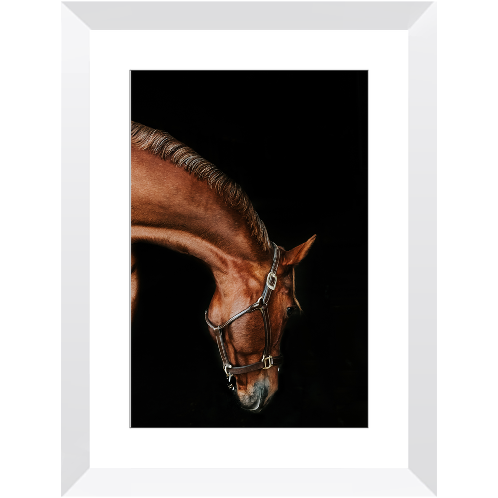 Django Series 6, Framed Print