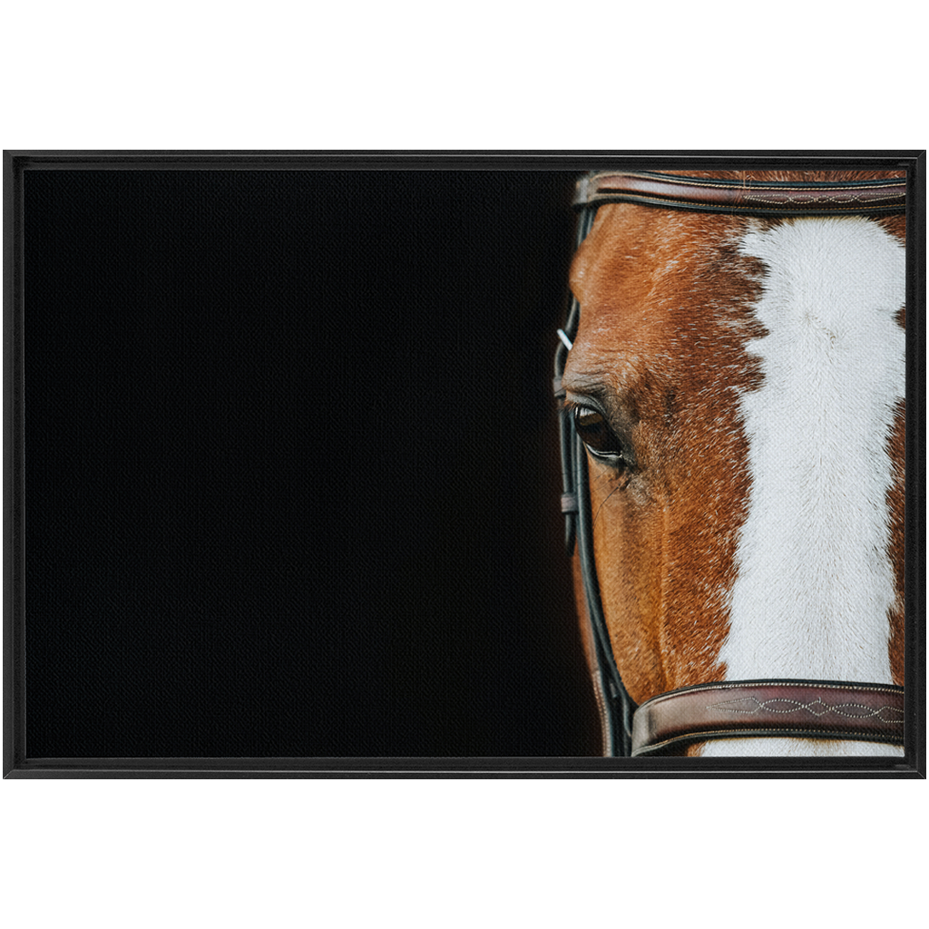 Huntsman Series 5, Framed Canvas