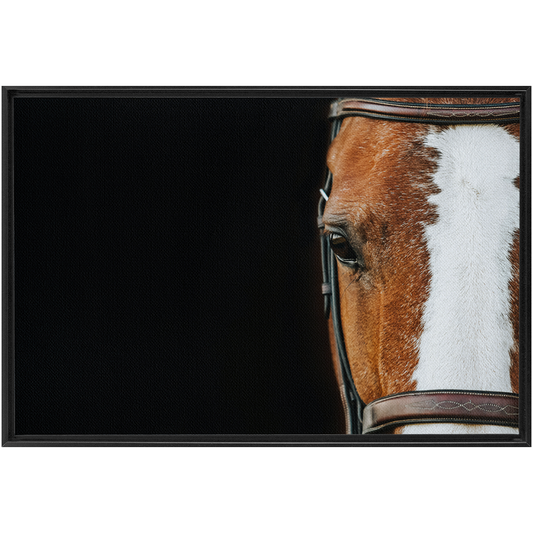 Huntsman Series 5, Framed Canvas