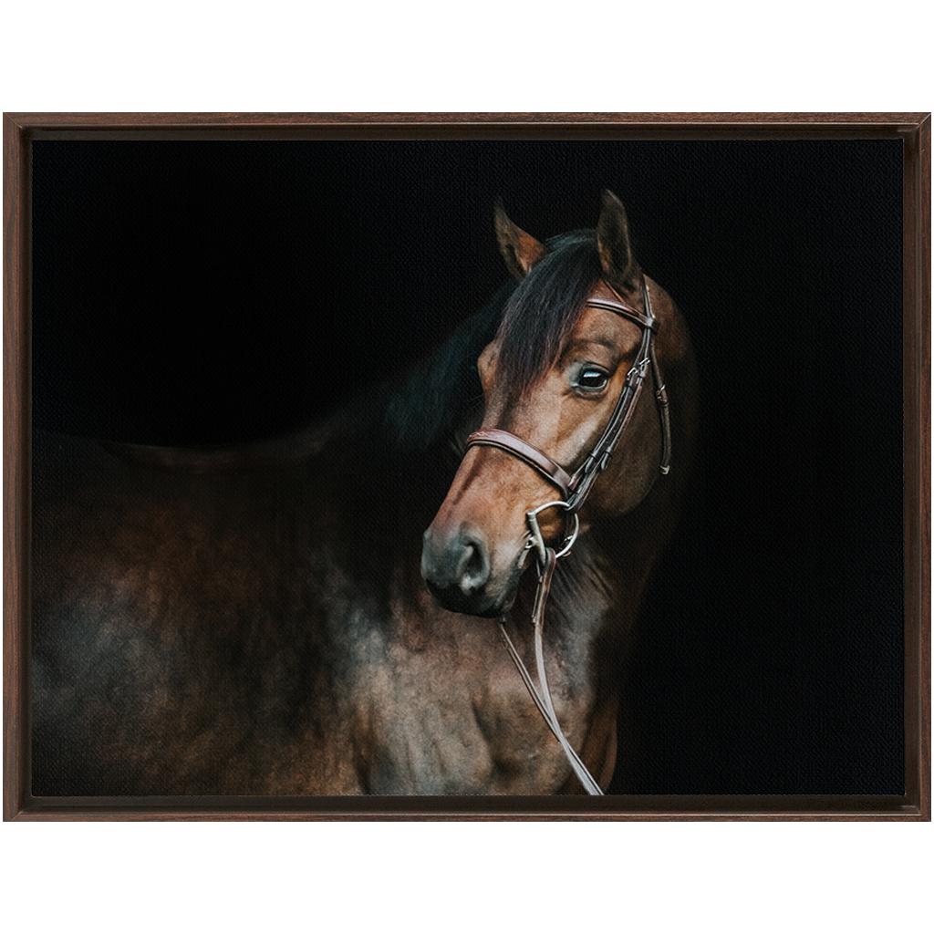 Jovial Series 2, Framed Canvas