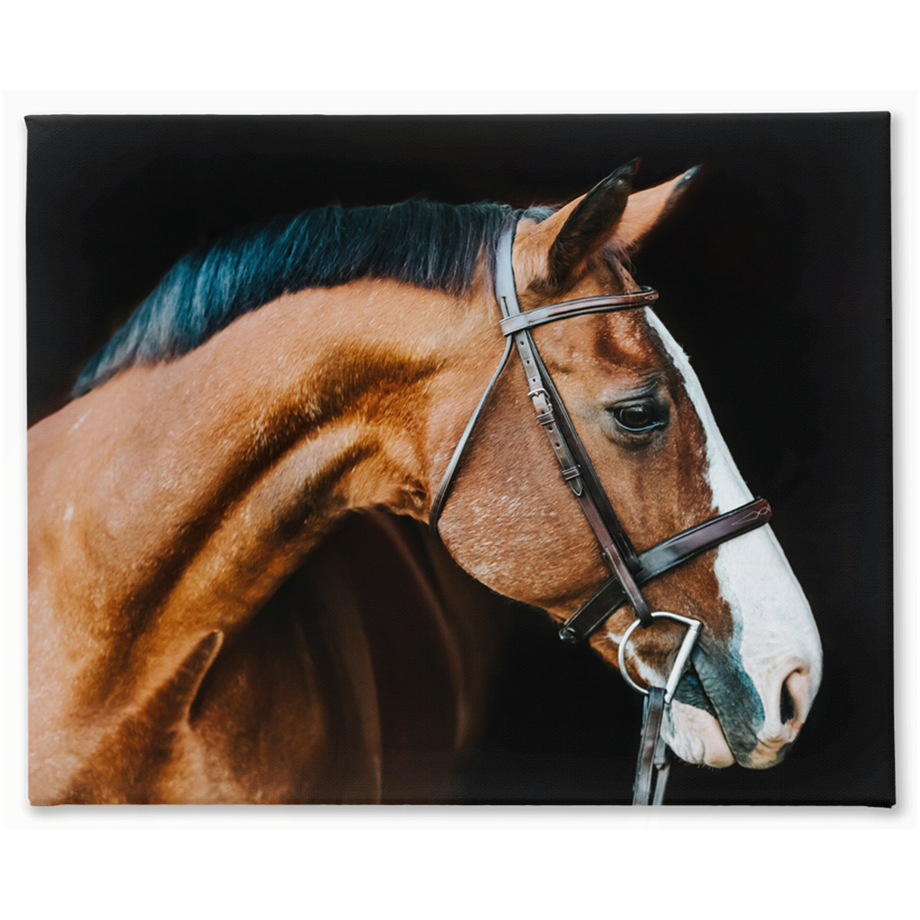 Huntsman Series 3, Canvas