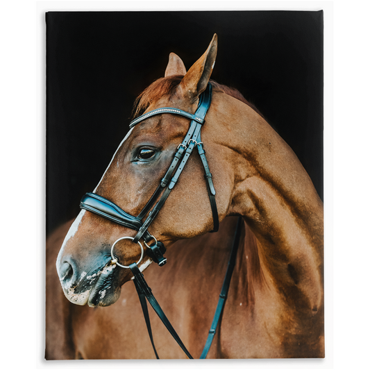 Hudson Series 6, Stretched Canvas