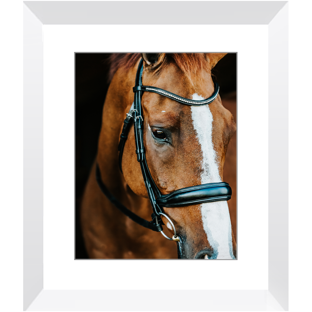Hudson Series 3, Framed Print