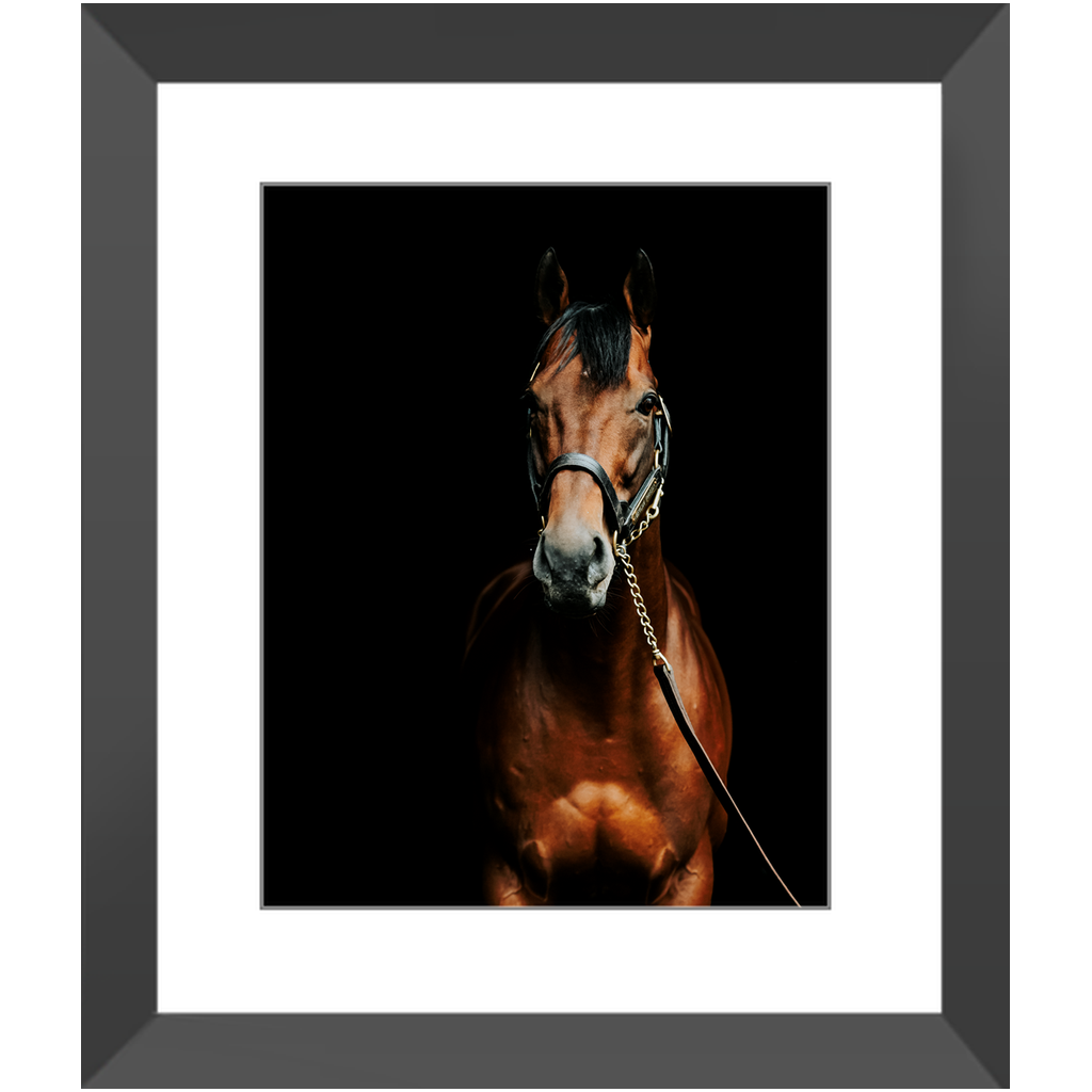American Pharoah Series 4, Framed Print