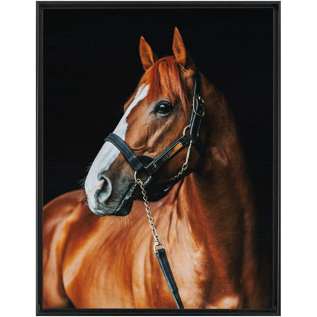 Justify Series 1, Framed Canvas
