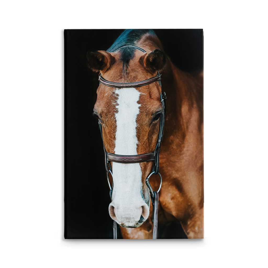 Huntsman Series 6, Stretched Canvas