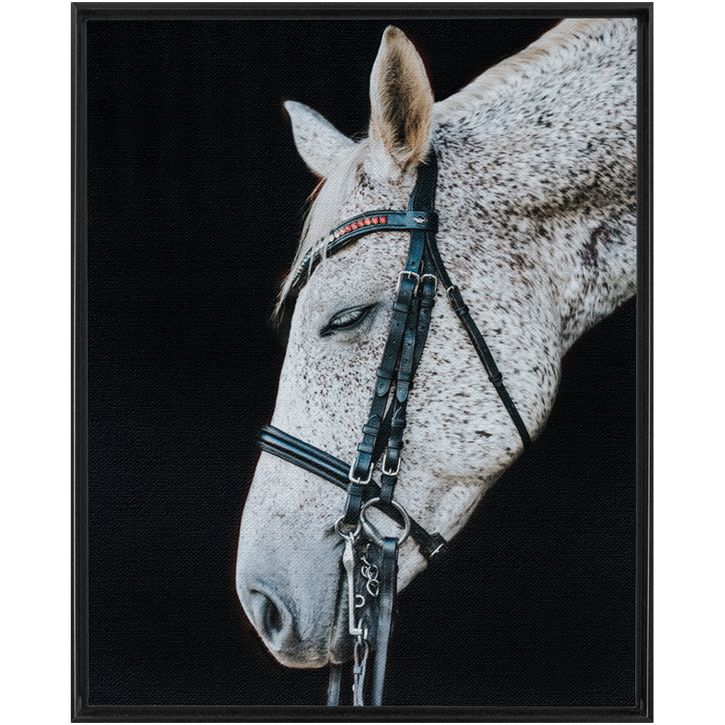 Apollo Series 1, Framed Canvas