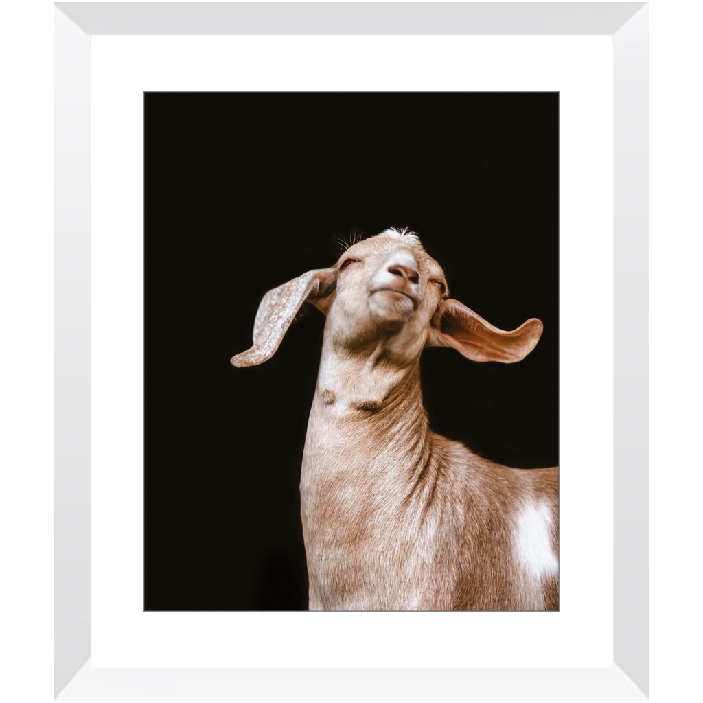 Happy Goat Series 1, Framed Print