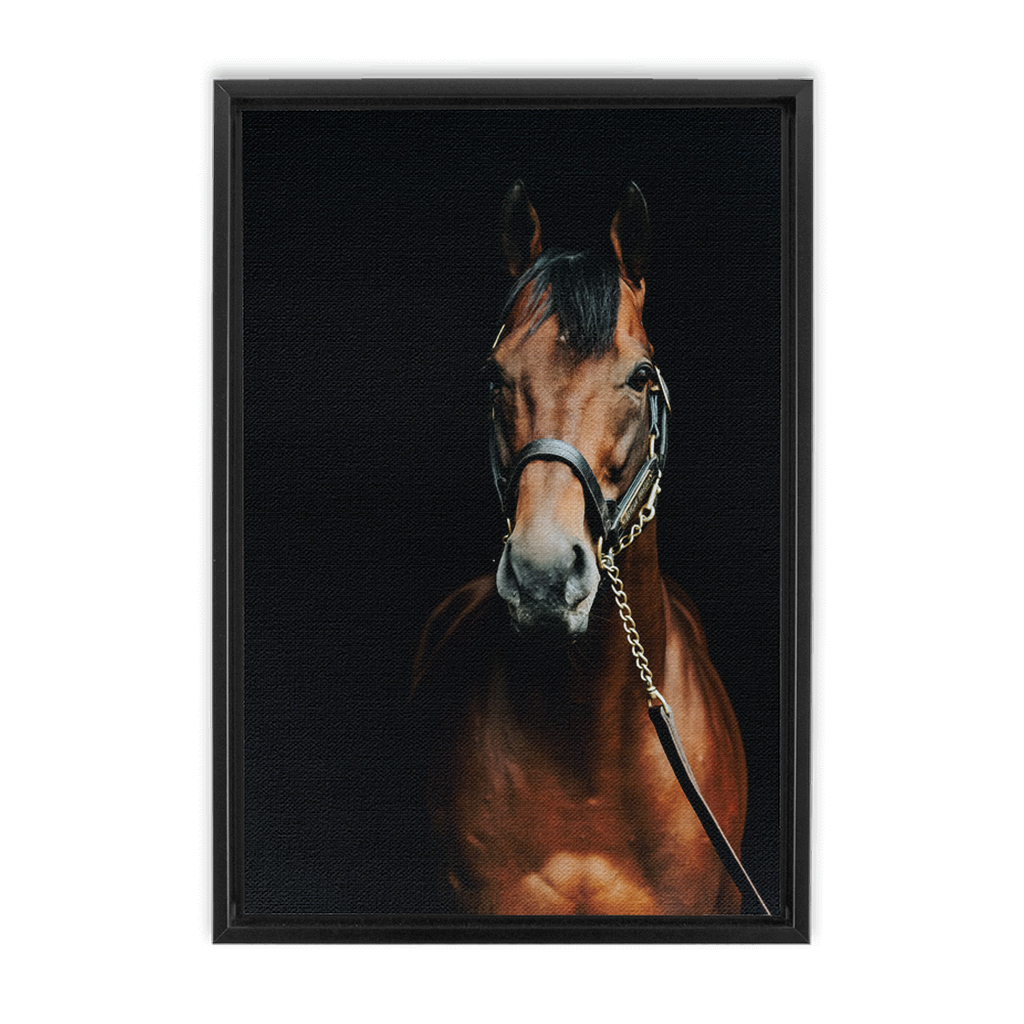American Pharoah Series 4, Framed Canvas