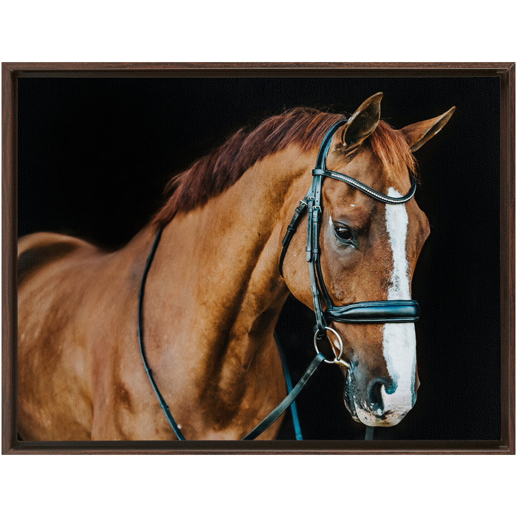 Hudson Series 1, Framed Canvas
