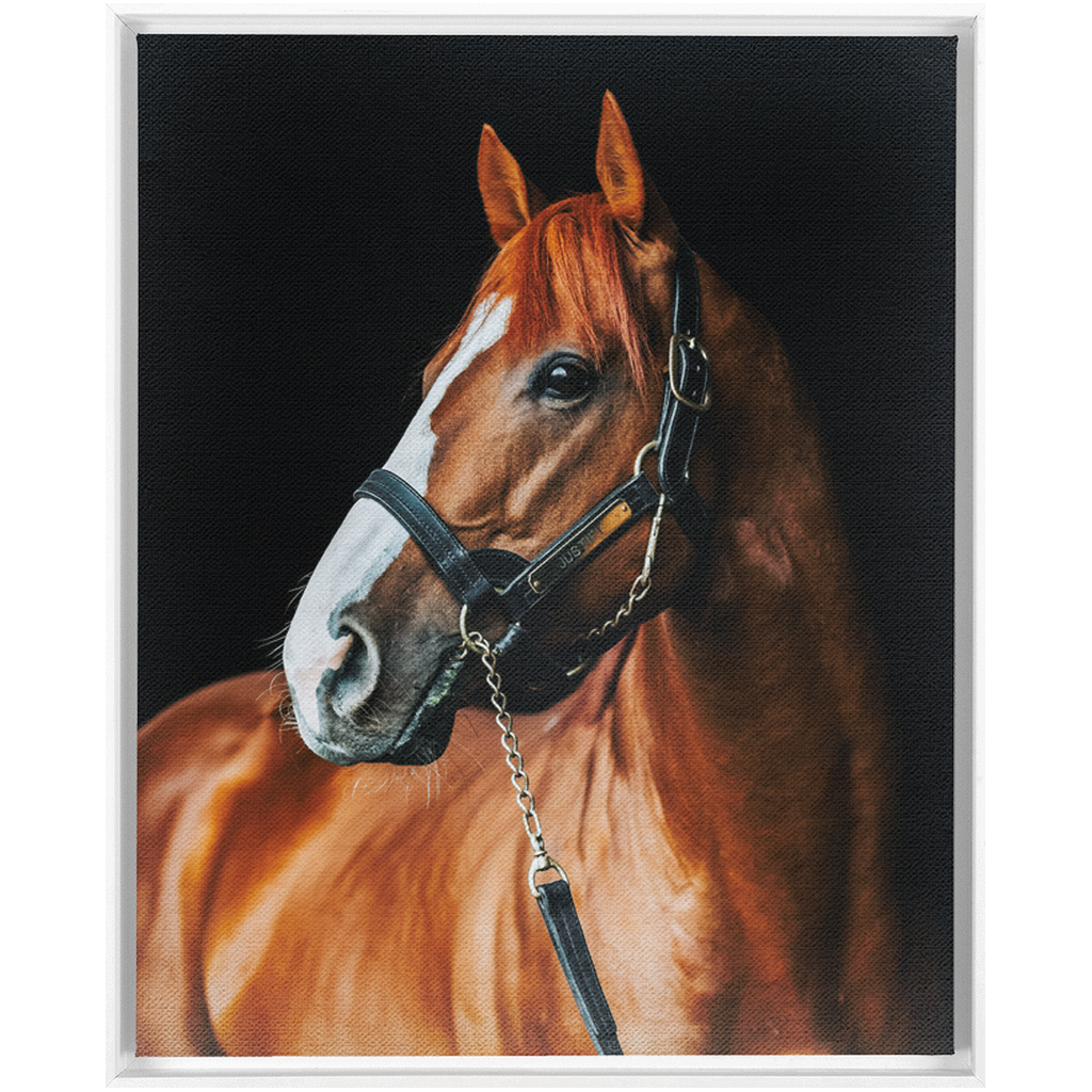Justify Series 1, Framed Canvas