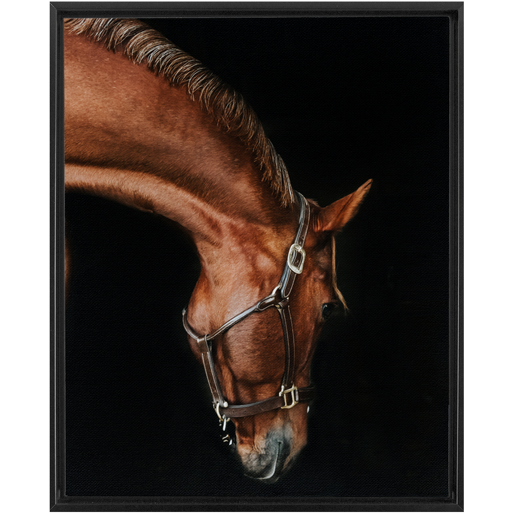 Django Series 6, Framed Canvas