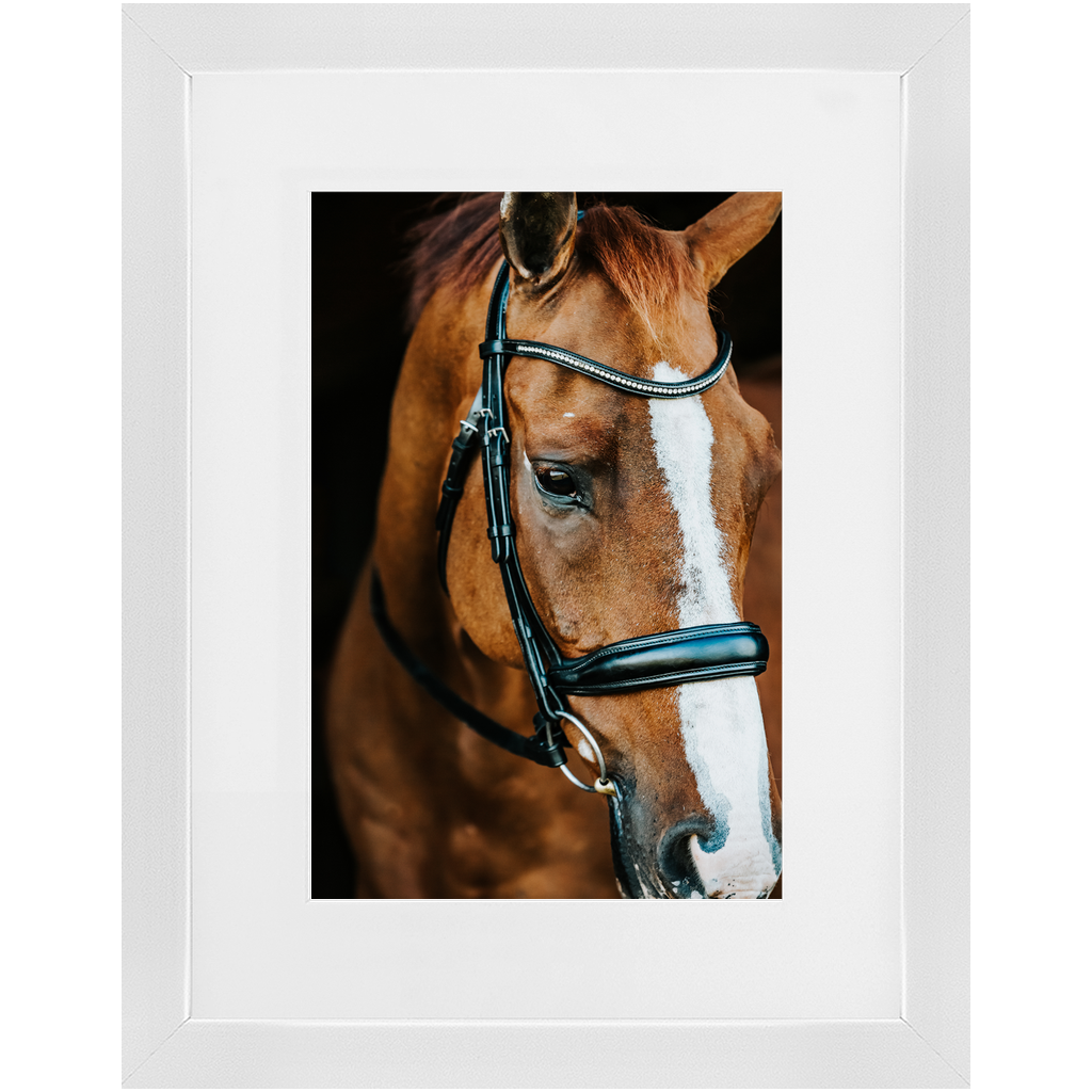 Hudson Series 3, Framed Print