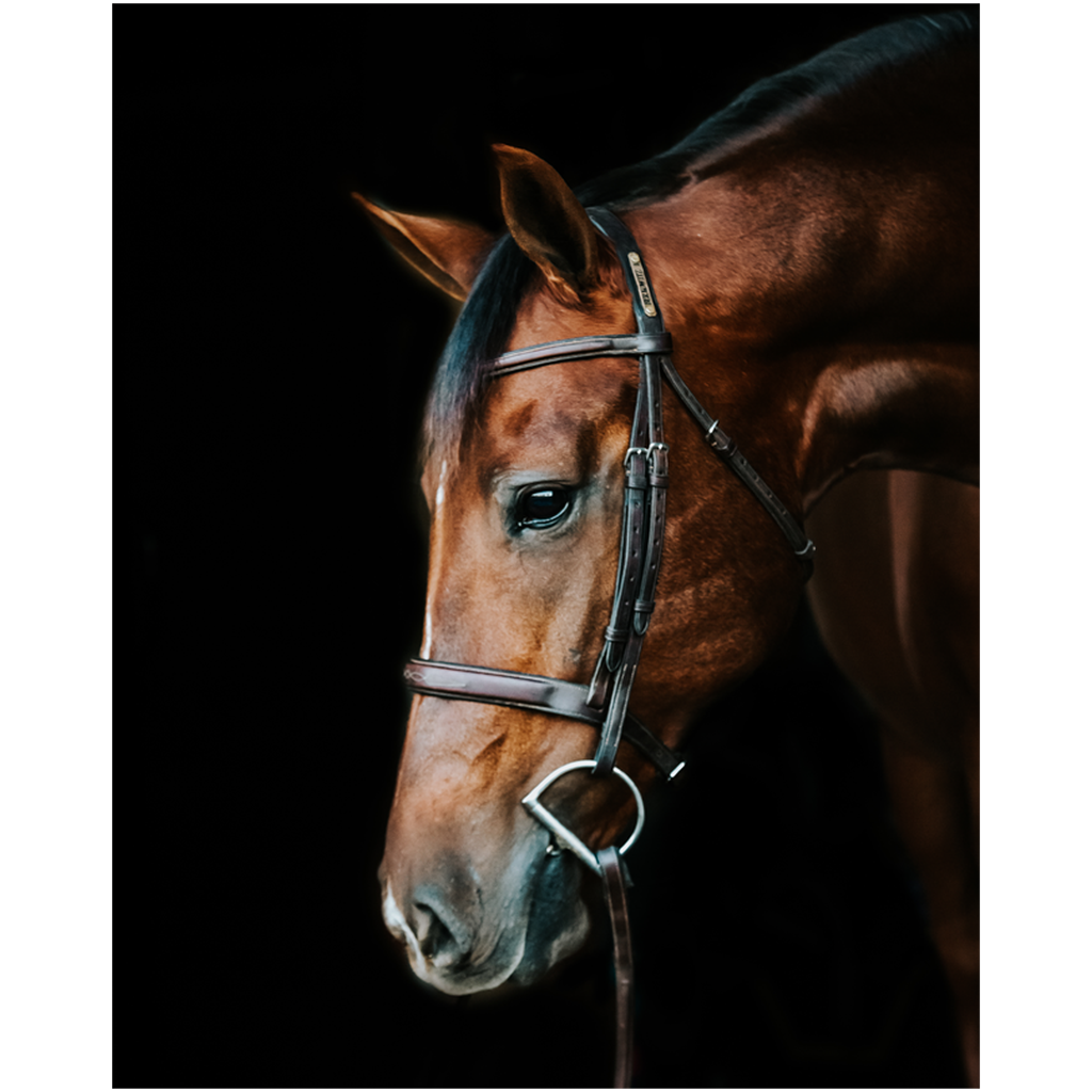 Monterey Series 4, Print