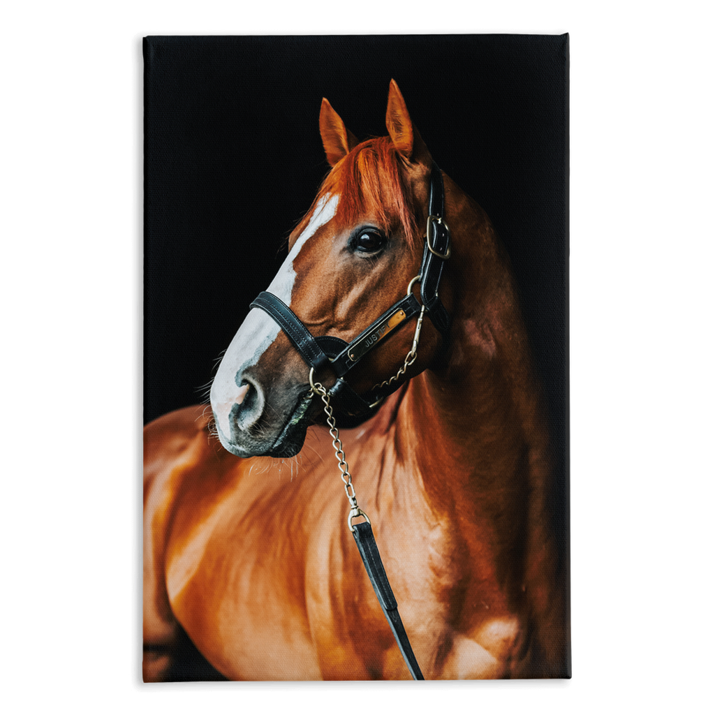 Justify Series 1, Stretched Canvas