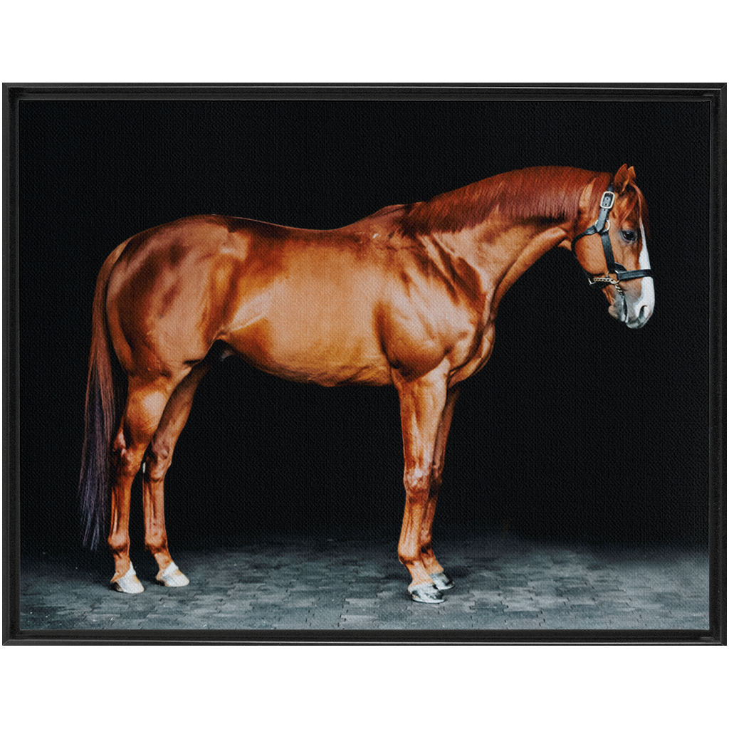 Justify Series 6, Framed Canvas