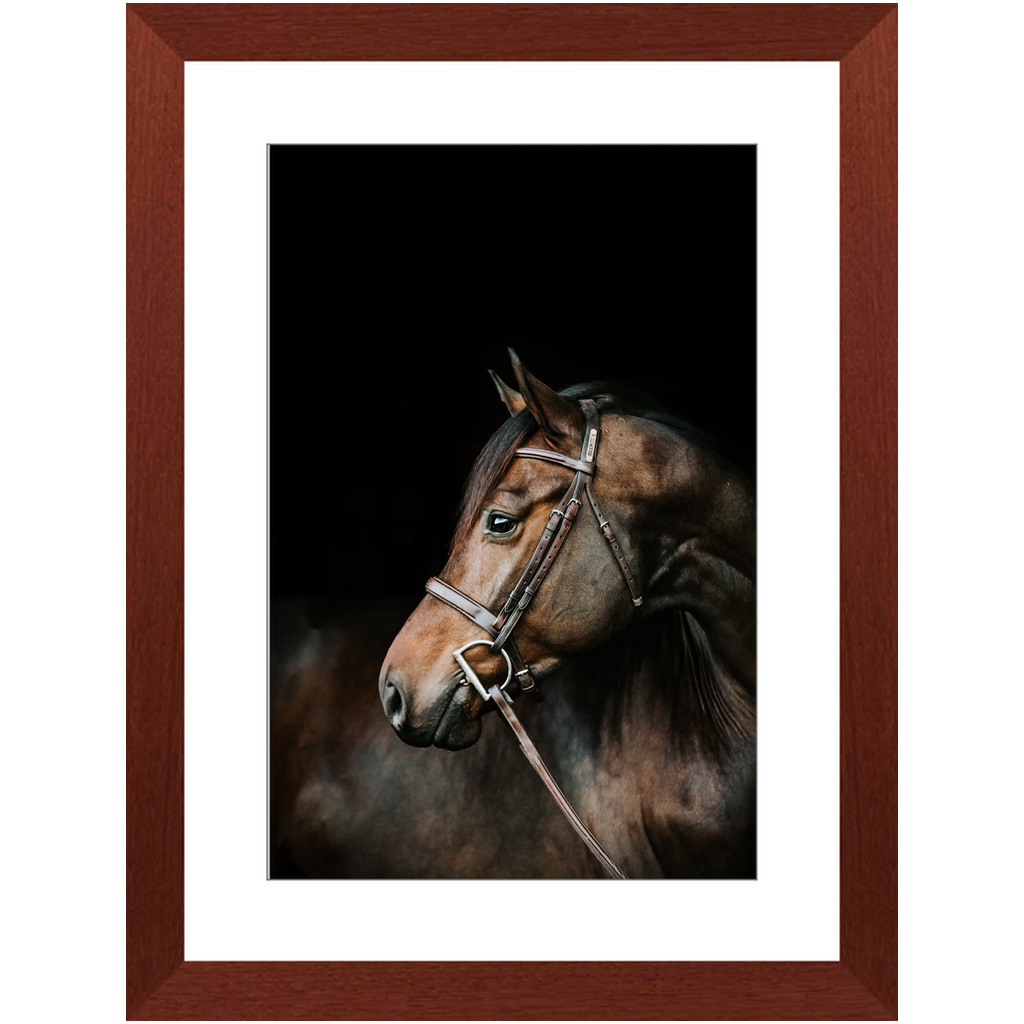Jovial Series 3, Framed Print