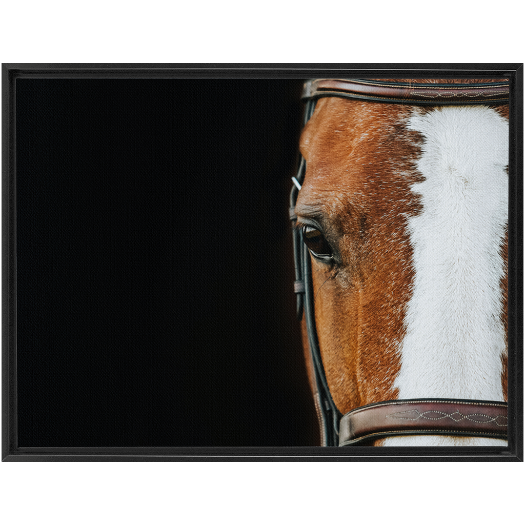 Huntsman Series 5, Framed Canvas