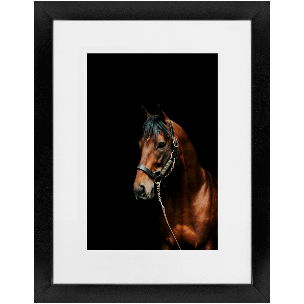American Pharoah Series 2, Framed Prints