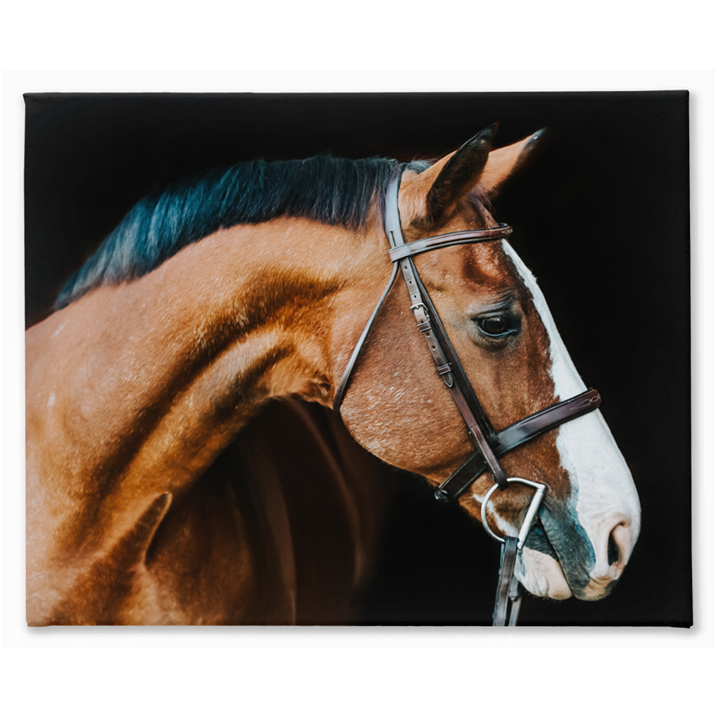 Huntsman Series 3, Canvas