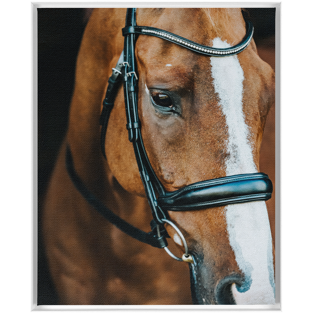Hudson Series 3, Framed Canvas