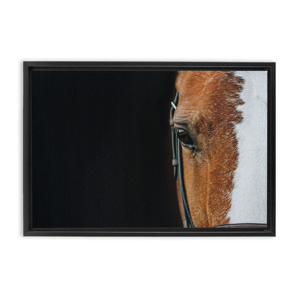 Huntsman Series 5, Framed Canvas