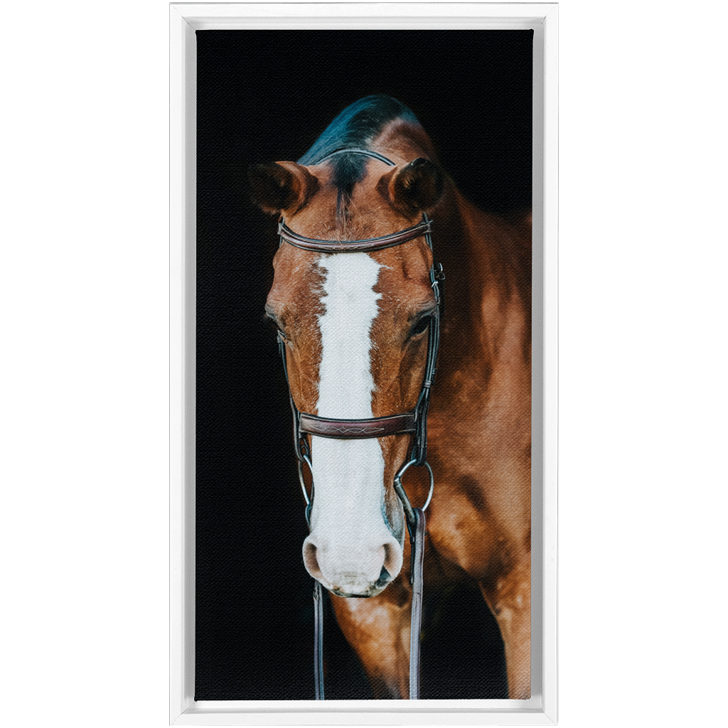 Huntsman Series 6, Framed Canvas