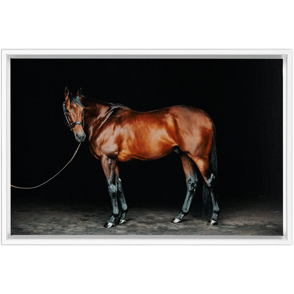 American Pharoah Series 1, Framed Canvas