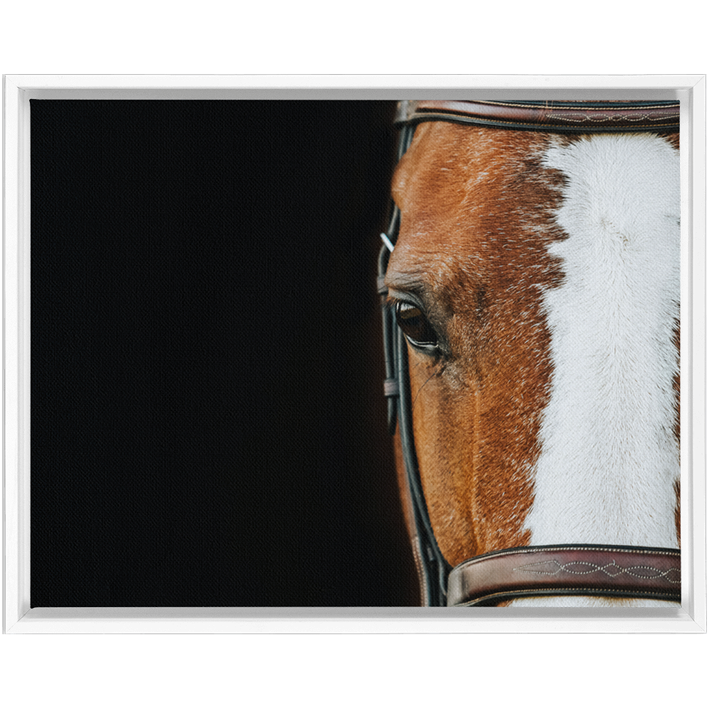 Huntsman Series 5, Framed Canvas