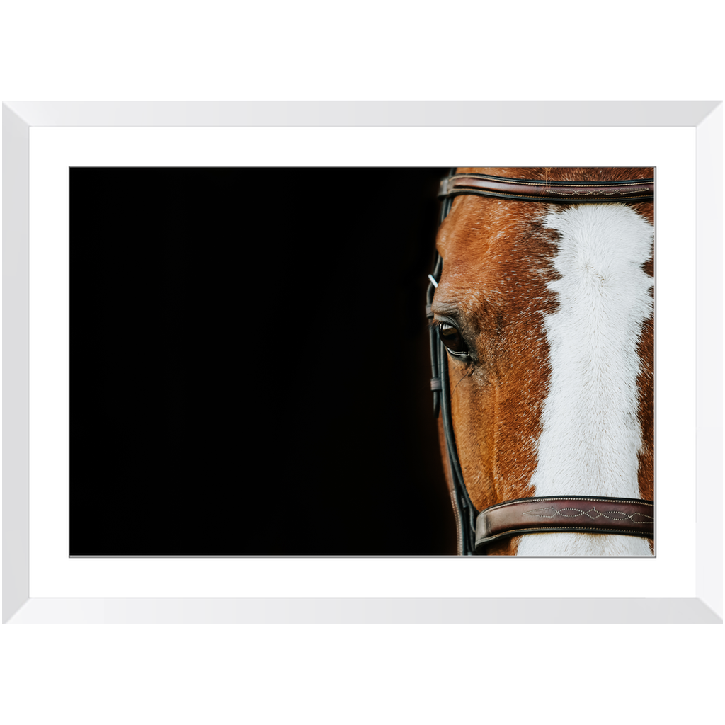 Huntsman Series 5, Framed Print