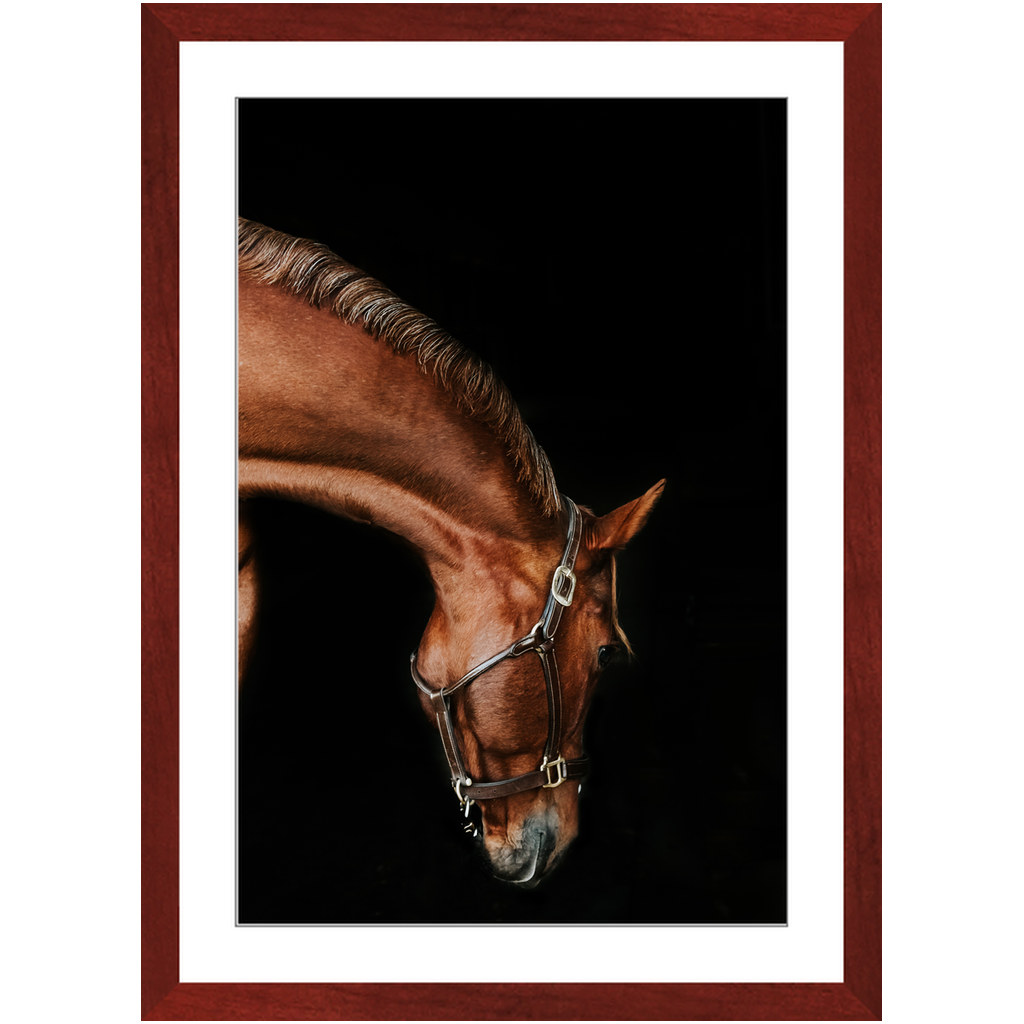 Django Series 6, Framed Print