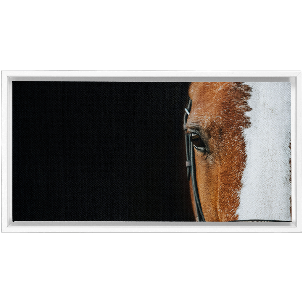 Huntsman Series 5, Framed Canvas