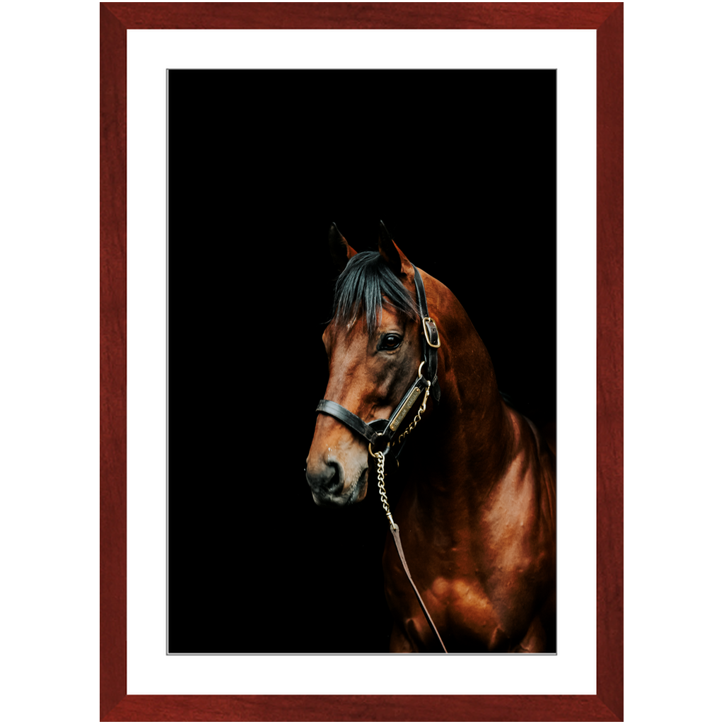 American Pharoah Series 2, Framed Prints