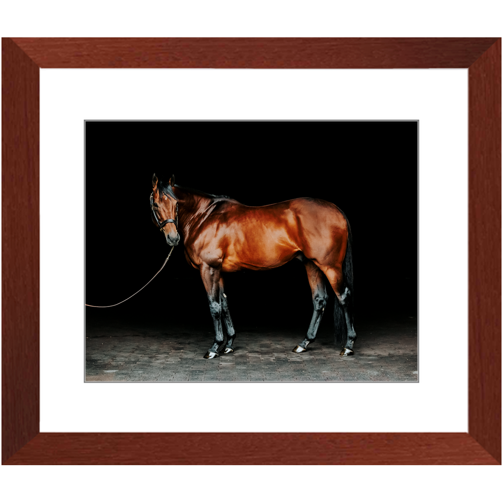 American Pharoah Series 1, Framed Print