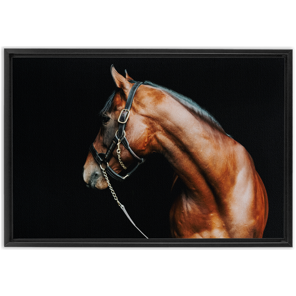 American Pharoah Series 5, Framed Canvas
