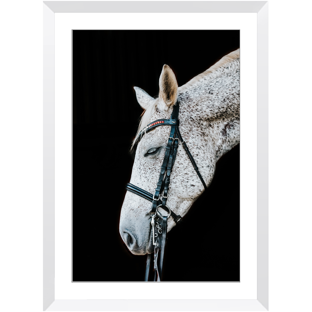 Apollo Series 2, Framed Print