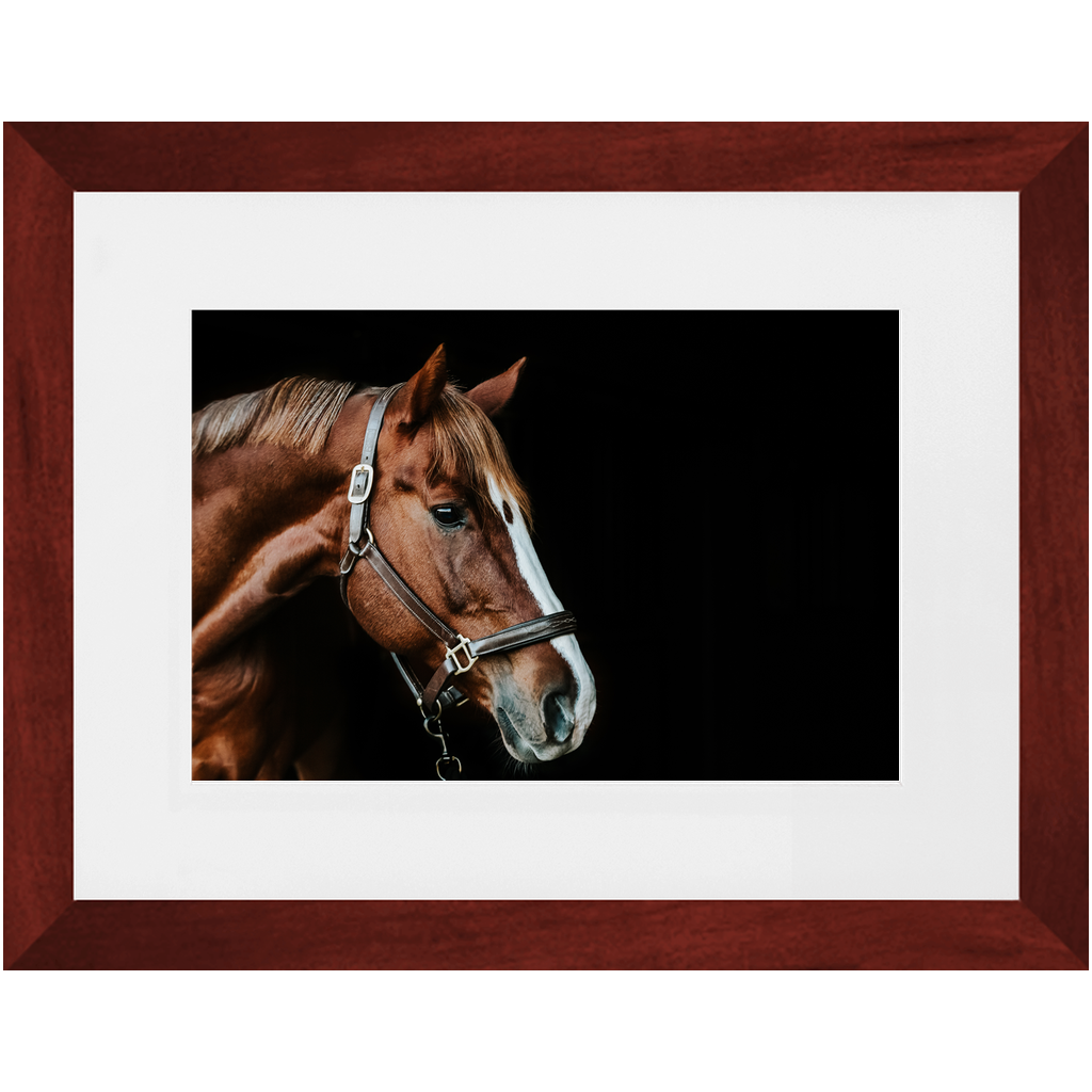 Django Series 5, Framed Print