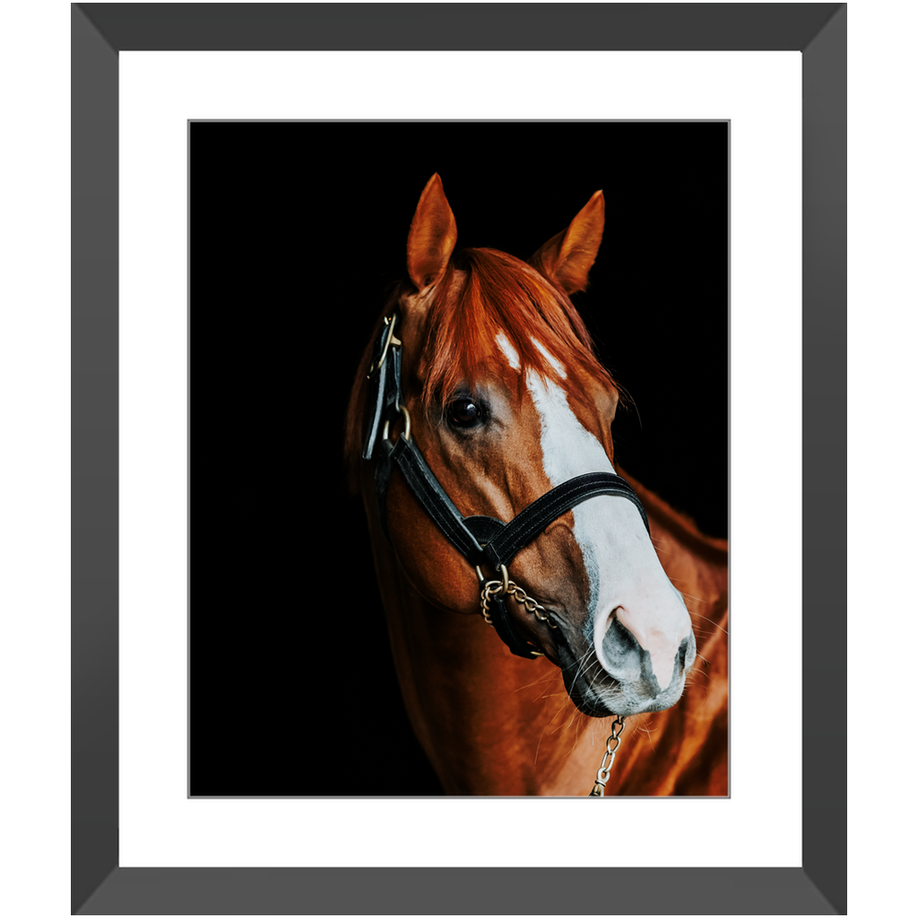 Justify Series 2, Framed Print