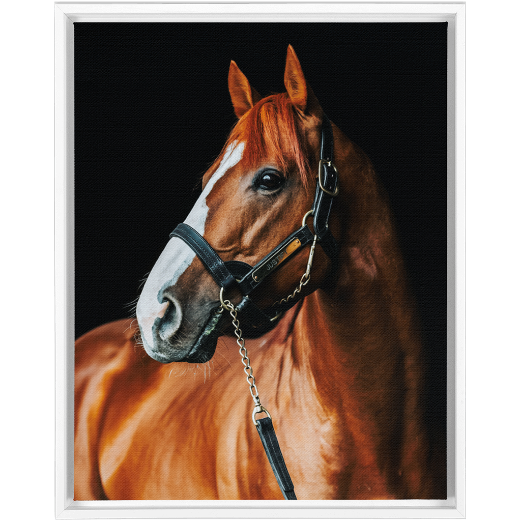 Justify Series 1, Framed Canvas