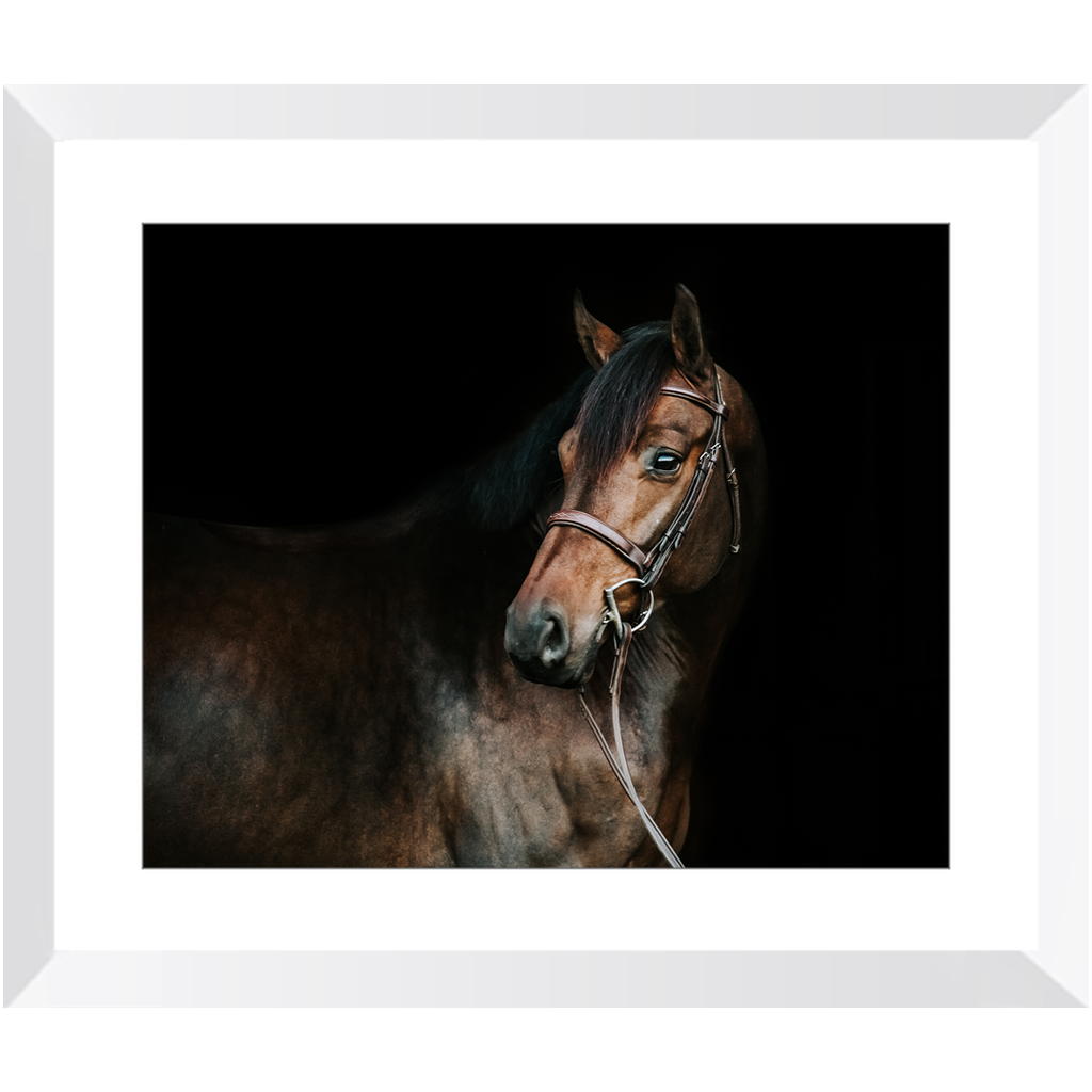 Jovial Series 2, Framed Print