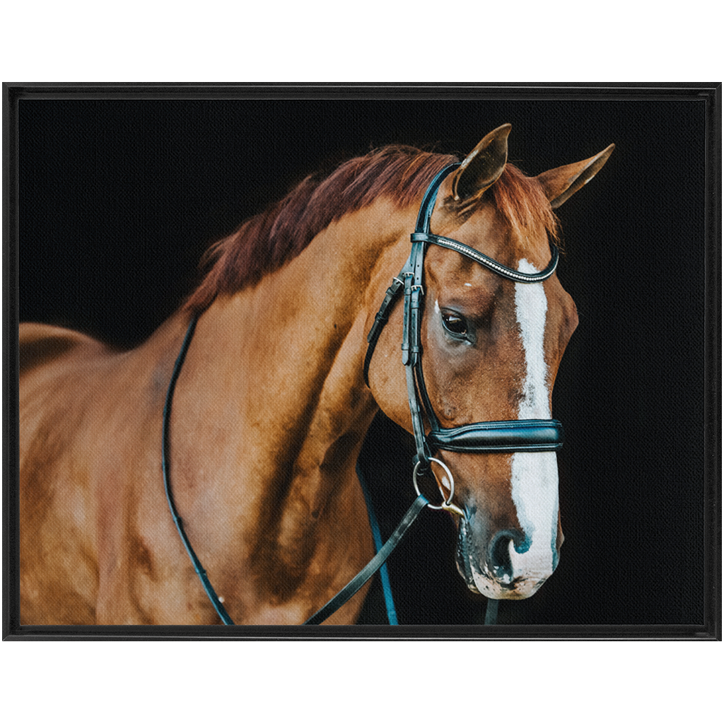Hudson Series 1, Framed Canvas