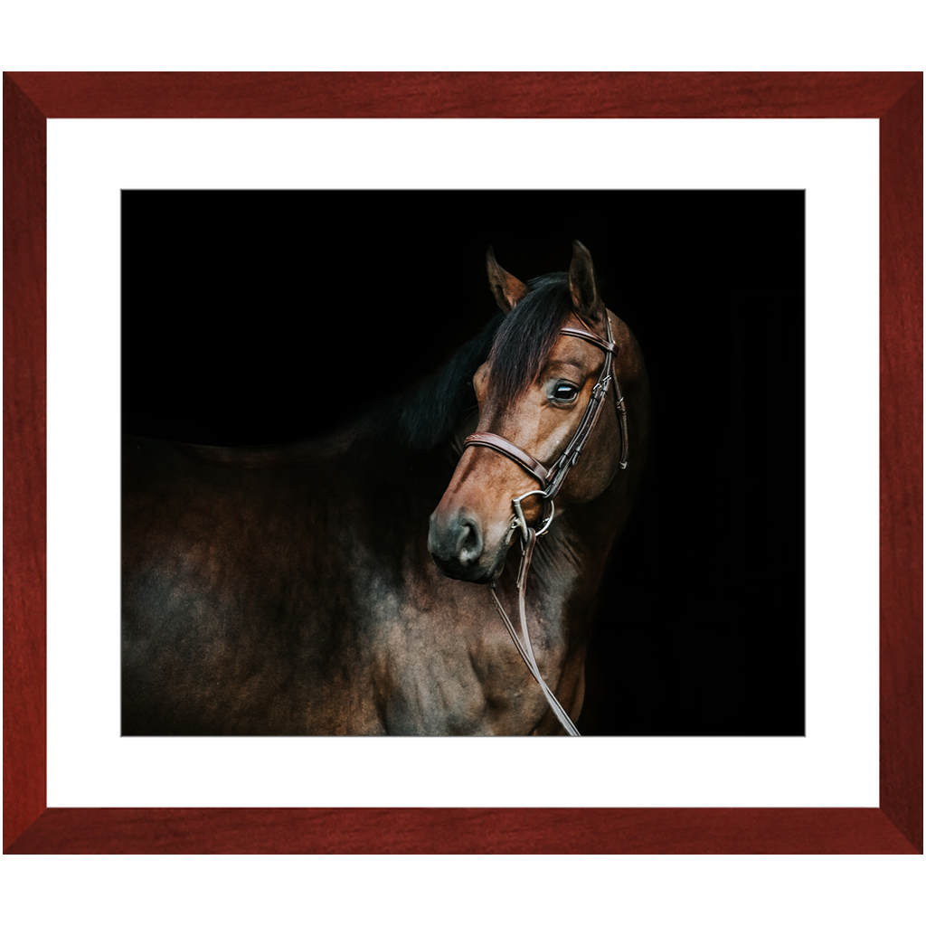 Jovial Series 2, Framed Print