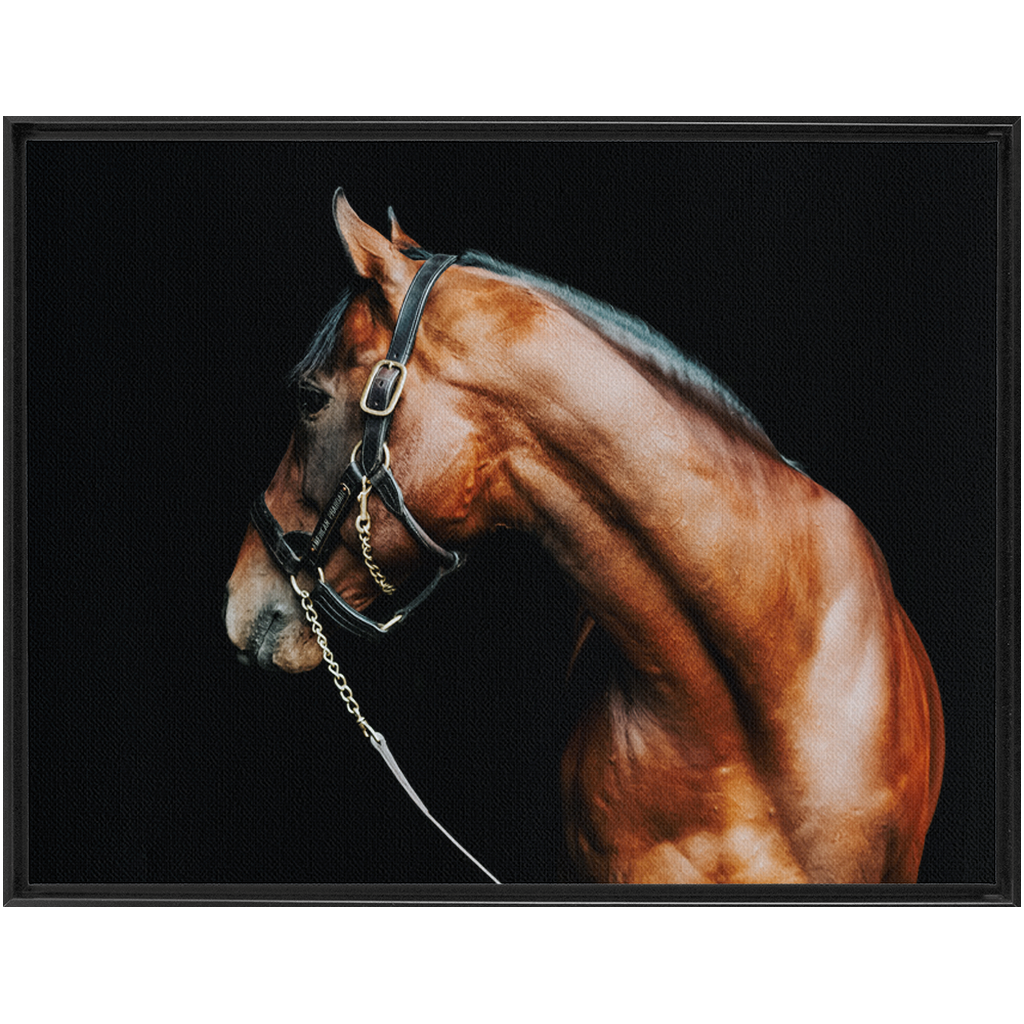 American Pharoah Series 5, Framed Canvas