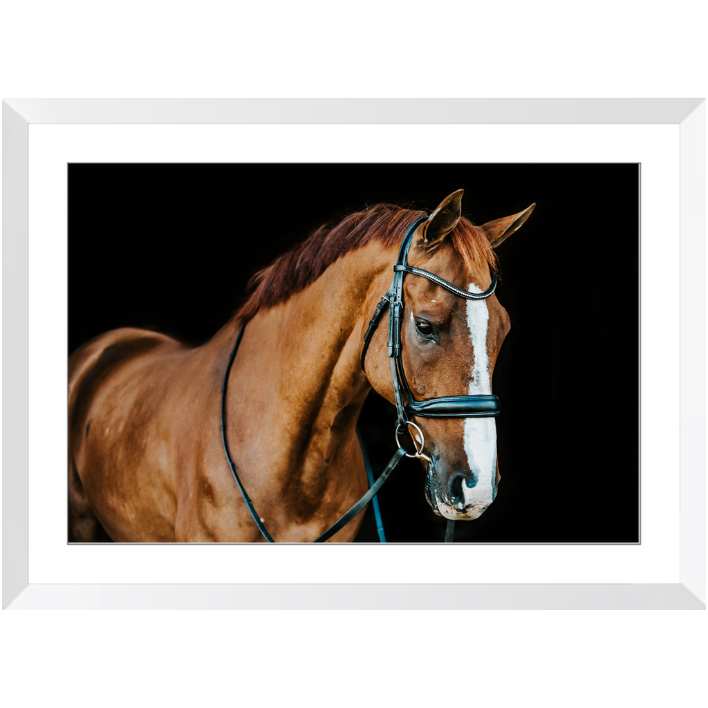Hudson Series 1, Framed Print