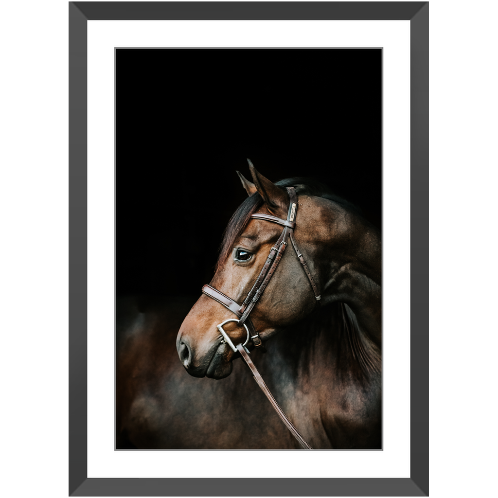 Jovial Series 3, Framed Print