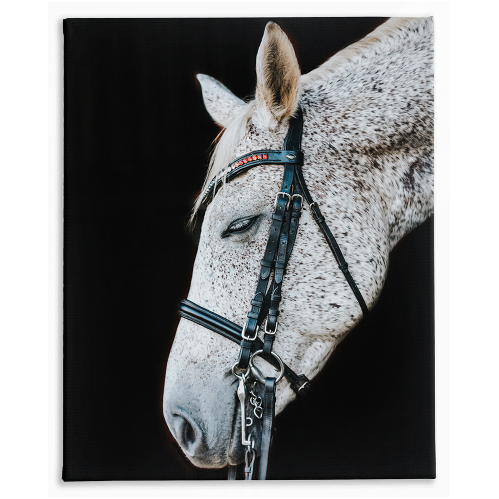 Apollo Series 1, Stretched Canvas