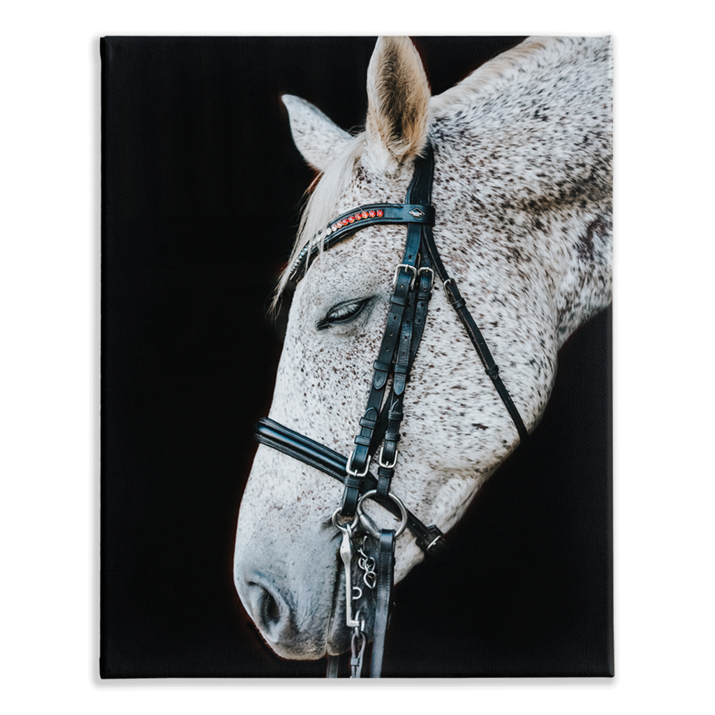Apollo Series 1, Stretched Canvas